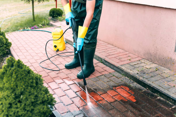 Best Sidewalk and Walkway Pressure Cleaning in Chatham, IL